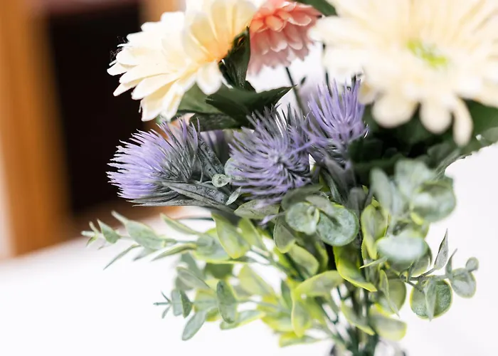 Bonito Y Comodo Cerca De La Playa דירה *